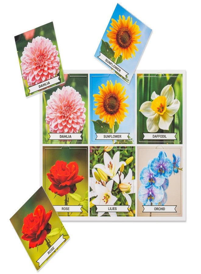 Assistex Matching Game Activity Board - Dementia Activities for Seniors - Memory Games for Adults with Alzheimers - Memory Loss and Alzheimers Activities - Matching Card Memory Games for Seniors - Image 3
